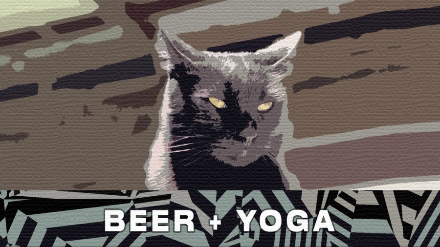 Beer and Yoga is Back!!!