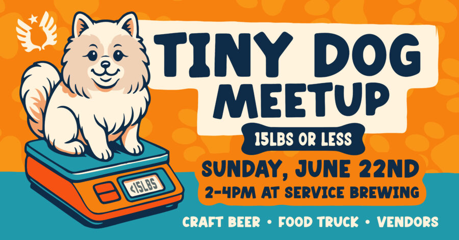 Tiny Dog Meet Up