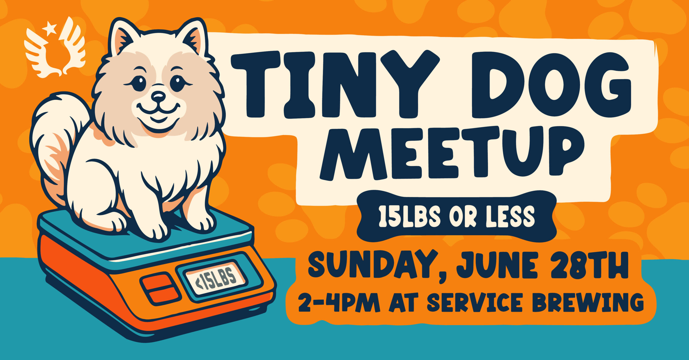 Tiny Dog Meet Up